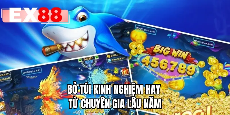 Bỏ túi kinh nghiệm hay từ chuyên gia lâu năm