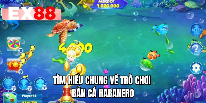 Tìm hiểu chung về trò chơi bắn cá Habanero