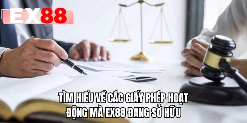 Tìm hiểu về các giấy phép hoạt động mà EX88 đang sở hữu